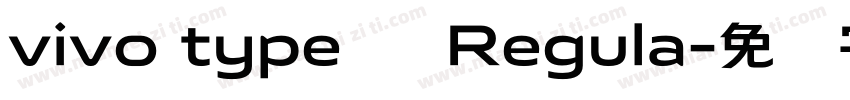 vivo type 简 Regula字体转换